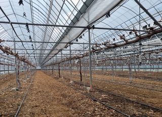 변기천님의 2025년, 농사계획은 어떻게 되시나요? · 참여글 작성글 사진