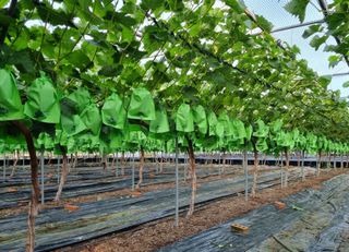 변기천님의 2025년, 농사계획은 어떻게 되시나요? · 참여글 작성글 사진