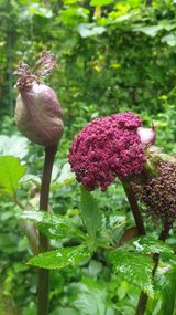 팜모닝 2025년, 농사계획은 어떻게 되시나요?·참여글 게시글 이미지