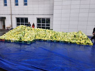 손정아님의 2025년, 농사계획은 어떻게 되시나요? · 참여글 작성글 사진