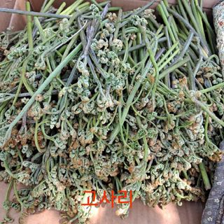 오금식(대청농원)님의 2025년, 농사계획은 어떻게 되시나요? · 참여글 작성글 사진