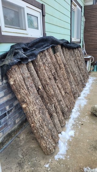 지피지기님의 2025년, 농사계획은 어떻게 되시나요? · 참여글 작성글 사진