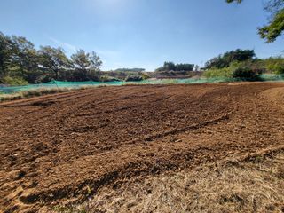 김상구님의 2025년, 농사계획은 어떻게 되시나요? · 참여글 작성글 사진