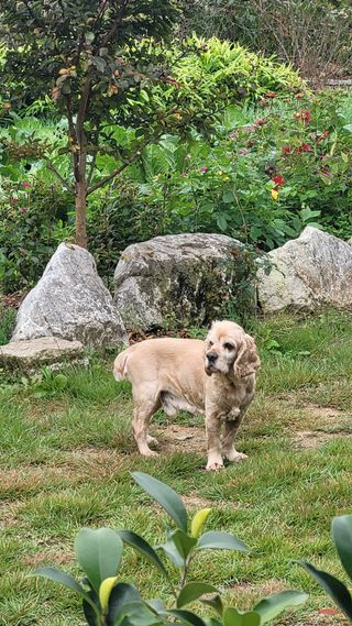 지피지기님의 2025년, 농사계획은 어떻게 되시나요? · 참여글 작성글 사진