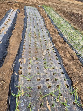 김상진님의 자유주제 · 자유게시판 작성글 사진