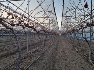 변기천님의 2025년, 농사계획은 어떻게 되시나요? · 참여글 작성글 사진