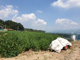 최상범님의 2025년, 농사계획은 어떻게 되시나요? · 참여글 작성글 사진