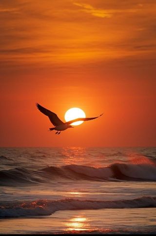 장효기님의 자유주제 · 자유게시판 작성글 사진