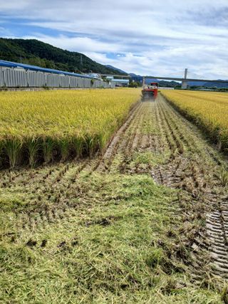 최남옥님의 2025년, 농사계획은 어떻게 되시나요? · 참여글 작성글 사진