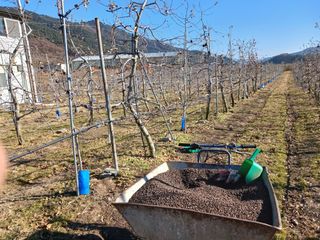 알 수 없음님의 자유주제 · 자유게시판 작성글 사진