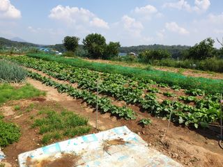 최상범님의 2025년, 농사계획은 어떻게 되시나요? · 참여글 작성글 사진