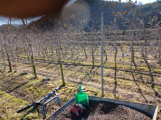 알 수 없음님의 자유주제 · 자유게시판 작성글 사진