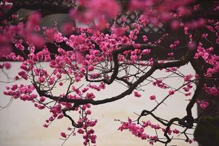 김상진님의 자유주제 · 자유게시판 작성글 사진