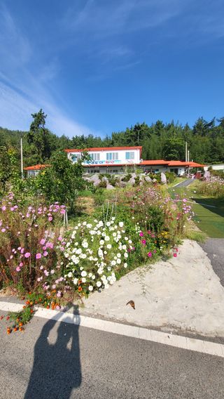 Kbd1961님의 2025년, 농사계획은 어떻게 되시나요? · 참여글 작성글 사진