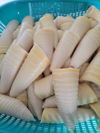 오금식(대청농원)님의 2025년, 농사계획은 어떻게 되시나요? · 참여글 작성글 사진