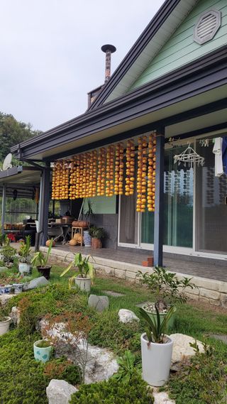 지피지기님의 2025년, 농사계획은 어떻게 되시나요? · 참여글 작성글 사진