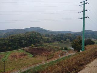 양용석님의 2025년, 농사계획은 어떻게 되시나요? · 참여글 작성글 사진