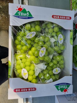 변기천님의 2025년, 농사계획은 어떻게 되시나요? · 참여글 작성글 사진