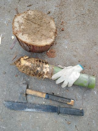 이현상님의 자유주제 · 자유게시판 작성글 사진