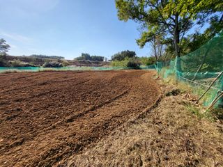 김상구님의 2025년, 농사계획은 어떻게 되시나요? · 참여글 작성글 사진