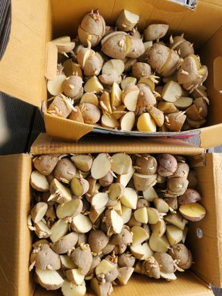 최남옥님의 2025년, 농사계획은 어떻게 되시나요? · 참여글 작성글 사진