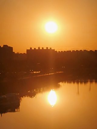 복주농장님의 자유주제 · 자유게시판 작성글 사진