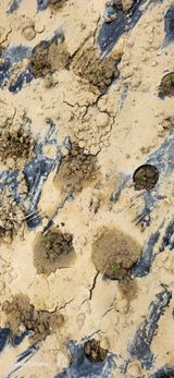 팜모닝 자유주제·자유게시판 게시글 이미지