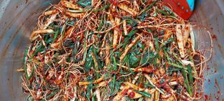 낙엽교목류15665님의 2025년, 농사계획은 어떻게 되시나요? · 참여글 작성글 사진