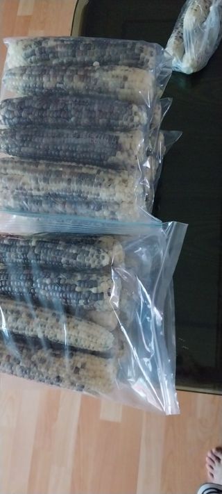 낙엽교목류15665님의 2025년, 농사계획은 어떻게 되시나요? · 참여글 작성글 사진