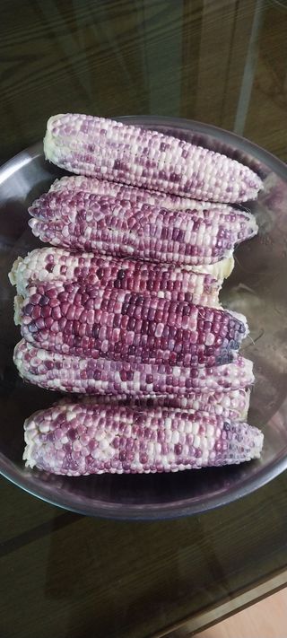 낙엽교목류15665님의 2025년, 농사계획은 어떻게 되시나요? · 참여글 작성글 사진