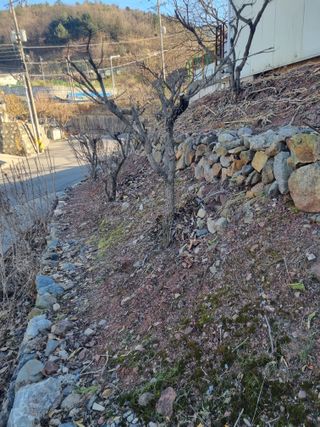 김용대님의 자유주제 · 자유게시판 작성글 사진