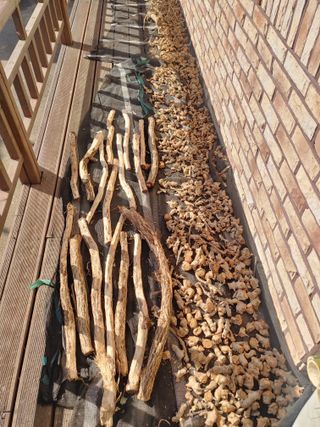 이현상님의 자유주제 · 자유게시판 작성글 사진