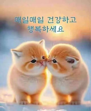 김상진님의 자유주제 · 자유게시판 작성글 사진