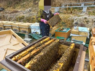 농촌광역시님의 기타작물 · 자유게시판 작성글 사진