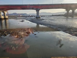 채경희님의 자유주제 · 자유게시판 작성글 사진