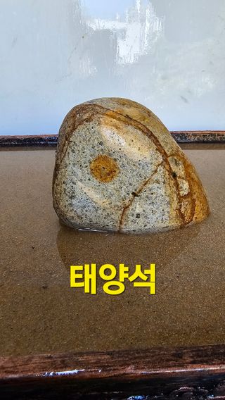 장철식님의 자유주제 · 자유게시판 작성글 사진