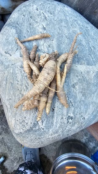 장철식님의 자유주제 · 자유게시판 작성글 사진