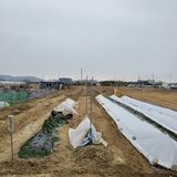 팜모닝 2025년, 농사계획은 어떻게 되시나요?·참여글 게시글 이미지