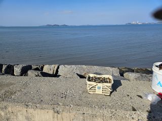 채경희님의 자유주제 · 자유게시판 작성글 사진