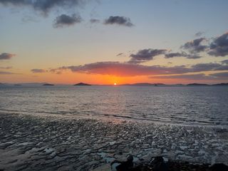 김경란님의 2025년, 농사계획은 어떻게 되시나요? · 참여글 작성글 사진