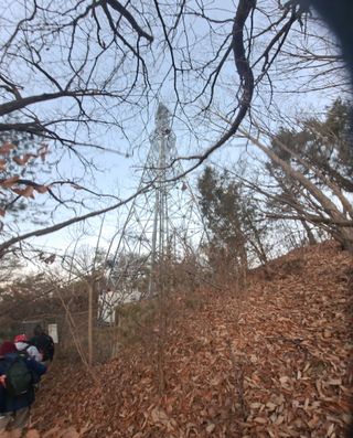 MSG0074님의 자유주제 · 자유게시판 작성글 사진