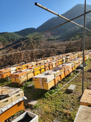 농촌광역시님의 기타작물 · 자유게시판 작성글 사진