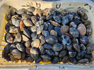 채경희님의 자유주제 · 자유게시판 작성글 사진