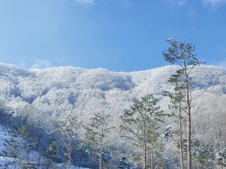 홍순원님의 2025년, 농사계획은 어떻게 되시나요? · 참여글 작성글 사진