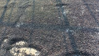 팜모닝회원 김순달 님의 2025년, 농사계획은 어떻게 되시나요? · 참여글 작성글 사진