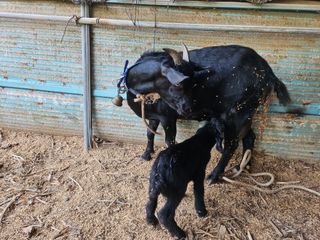 대학로님의 2025년, 농사계획은 어떻게 되시나요? · 참여글 작성글 사진