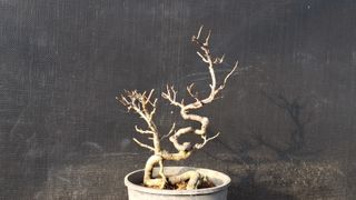 이정운님의 자유주제 · 자유게시판 작성글 사진