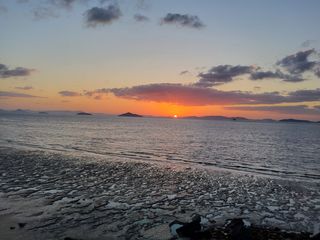 김경란님의 2025년, 농사계획은 어떻게 되시나요? · 참여글 작성글 사진