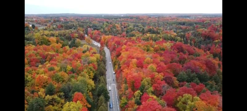 행복한나무농장님의 장터 판매 상품 [(한정수량)농장인수기념 원가나눔 이벤트 1탄 2,700원부터 분양예약중] 첨부 사진
