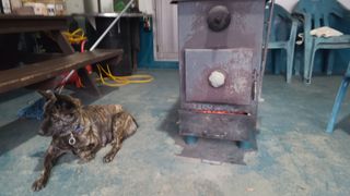 고춘석(고랑과이랑)님의 자유주제 · 자유게시판 작성글 사진